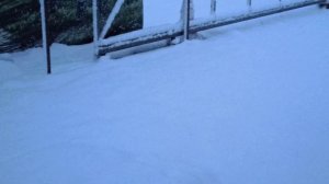 за грибами не пойду