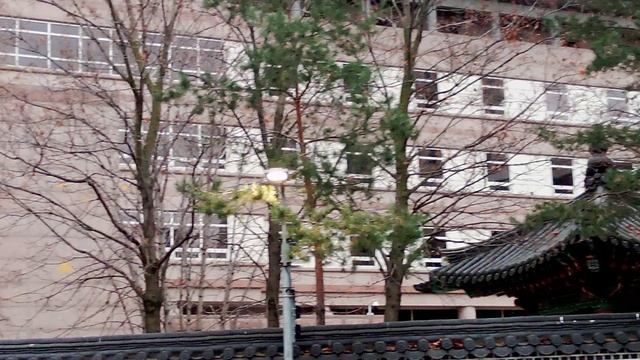 Посольство республики Корея в Москве. Очень интересный видос.