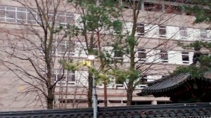 Посольство республики Корея в Москве. Очень интересный видос.