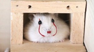 #смешныевидео -209