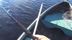 И СНОВА ВСЕ О НЕЙ!..ФОРЕЛИ!!.. ЮШКОЗЕРО!!. АВГУСТ 2023!!..