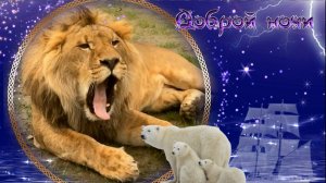 Доброй ночи!