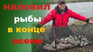 наловил рыбы в конце осени