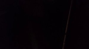 Попробуйте найти Бусю на этом видео