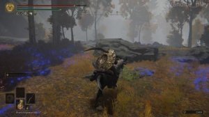 Прохождение Elden Ring # 29(Без Комментариев)