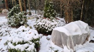 15 ноября. В сад пришла зима