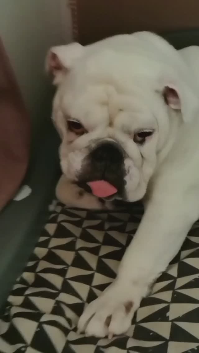 Утреннее настроение 48 / Morning mood 48 ☀️☀️☀️