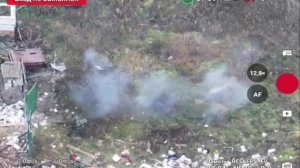 🔴Свинья спасла штурмовиков ВС РФ подорвавшись на мине.🔴