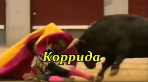 Коррида. Музыкальный клип.
