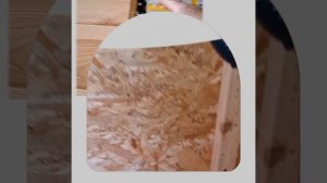 1000040191.mp4 (Собака смотрит на монтаж электропроводки (подключен. 3-х ф. розетки) в доме А-фрейм)