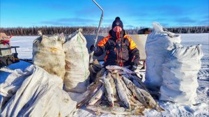 ЗДЕСЬ ЛОВЯТ МЕШКАМИ😱!!! ТУТ ЕЕ МИЛЛИОНЫ! Рыбалка первый лед 2025-2026г.