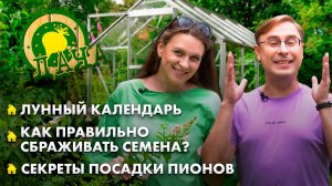 Как вырастить пионы? | Процесс сбраживания семян | Как сохранить урожай до следующего сезона? Дача