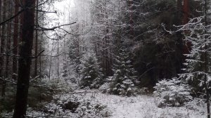 15-11-2025💥Влог💥суббота 📖комментарии