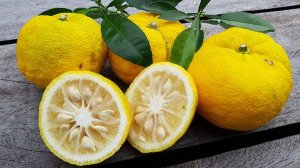 Японский цитрусовый фрукт юдзу