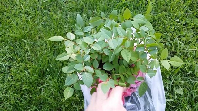 12- Дача..отдых за городом...