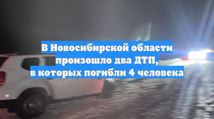 В Новосибирской области произошло два ДТП, в которых погибли 4 человека