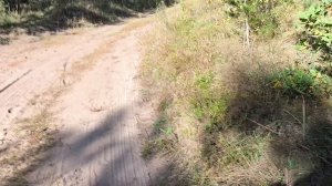 Девятая пробежка после операции