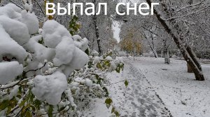 Выпал снег
