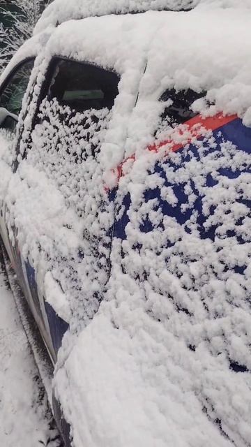 Может ли заднее стекло автомобиля поместиться в пятилитровое ведёрко?