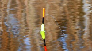 Рыбалка на ПОПЛАВОК поздней осенью, поклевки крупным планом!