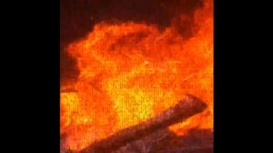 2 Эдита #skibidi toilet