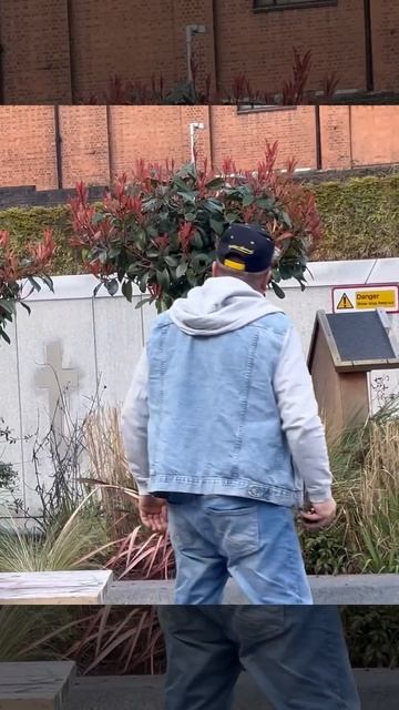 Дерево приносит деньги, но им не везёт их найти😁 смотреть онлайн