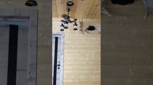 рецепт торта