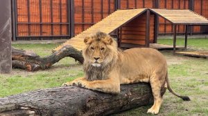 Аз, есмь, Царь!