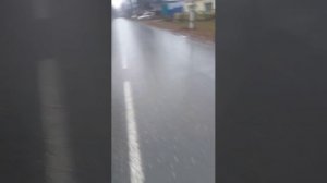 идем с братом домой