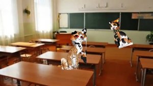 Ты не грибочек 🫵🍄