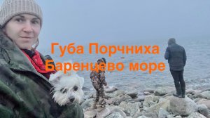 Порчниха Кольский полуостров 2025