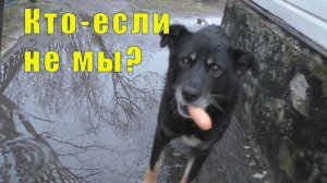 ПОМОЖЕТ ТОЛЬКО ЧЕЛОВЕК / СНОВА ЯРМАРКА / ТЯНЕТ НА СОЛЕНОЕ / 05 ноября 2025