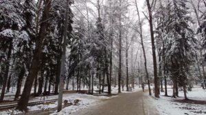 Первый снег в Подмосковье. 15.11.25