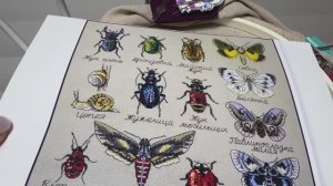 Вышивка крестиком.Продвижения.Оформление.