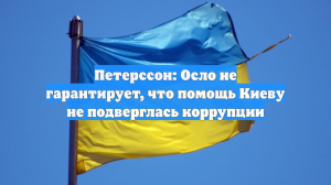 Петерссон: Осло не гарантирует, что помощь Киеву не подверглась коррупции