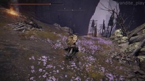 Прохождение Elden Ring # 32(Без Комментариев)