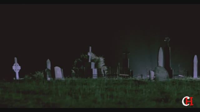 Местные 2003 - обзор