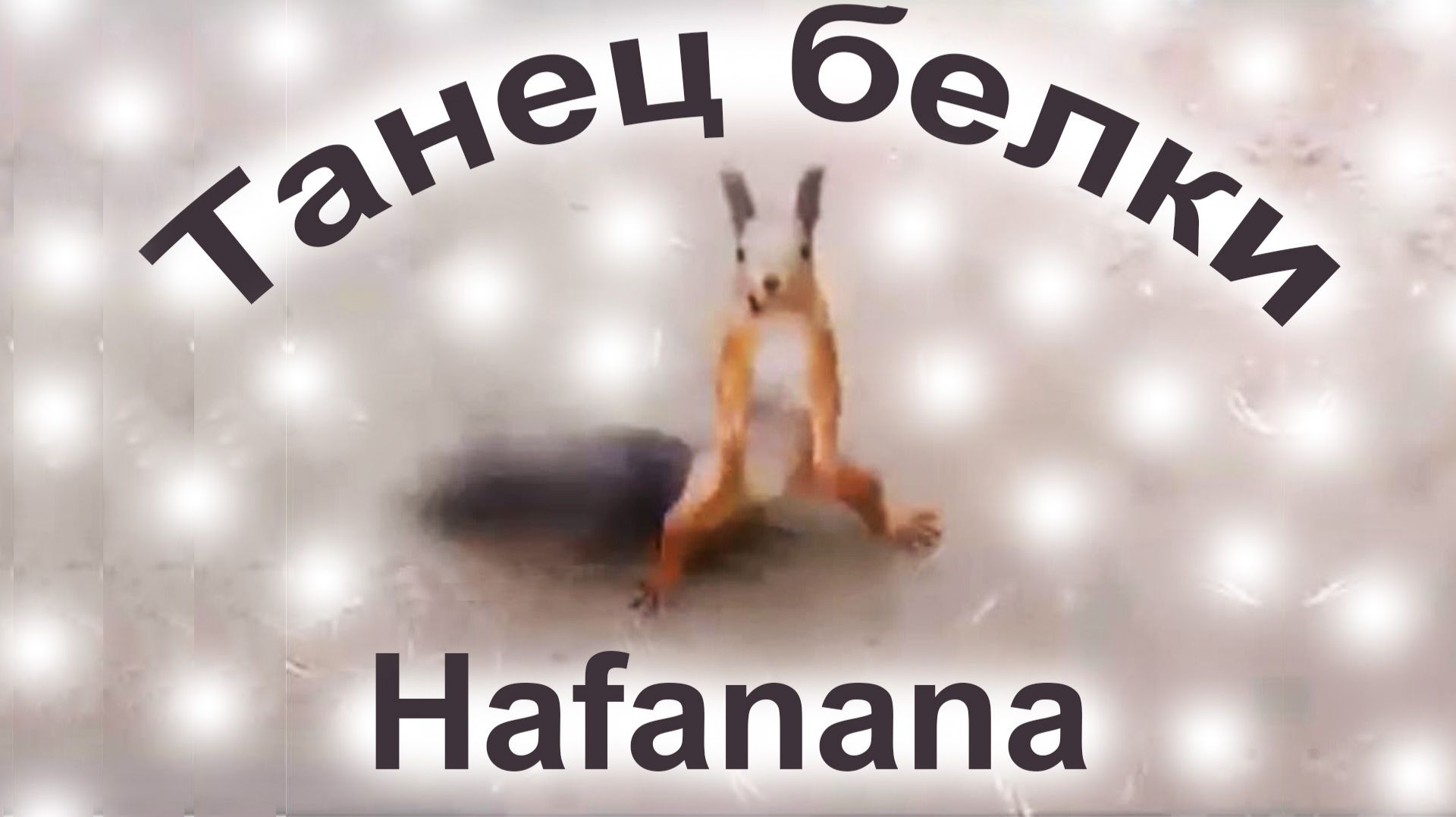 Танец белки.  Hafanana