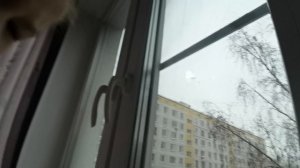 VID_20251115_101037.mp4