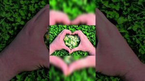 15.11.12.МОЛИТВА БЛАГОСЛОВЕНИЯ 🤍🕊️❤️🐦🔥🙏🏻🍀🍇🩸🫓🍷🦅👑👸🌾🌱