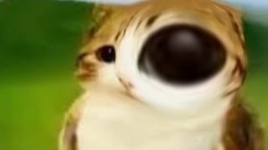 АВАТАР ВЕРНУЛСЯ???///ДРУГОЙ КАНАЛ??