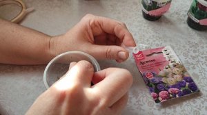 Посадка цветов Эустома. Начало сезона 2026 года. Сад - огород в Новосибирске