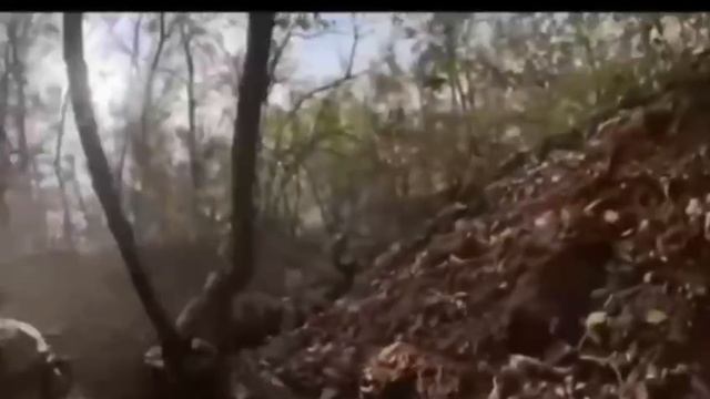 Англоязычные наёмники, визжа и ругаясь по‑русски, бегут от наших штурмовиков