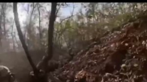 video_2025-11-14_13-11-08