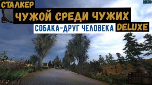 Сталкер. Чужой среди чужих. Делюкс. Собака - друг человека. Найти пса