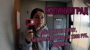 КАЛИНИНГРАД: поезд через Литву, съёмная квартира за 2300 рублей, зоопарк