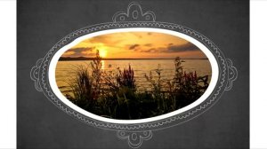 Michael Vermey - Footprints in the Forest