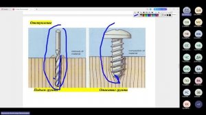 лекция № 4 -1от 15.04.2024г. _Основания и фундаменты_-20240415_182924-