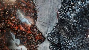 Похороны будущего... «Милицейское братство»  #Россия #страна #закон #похороны #будущее #умираем