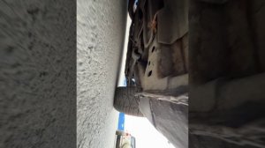 56C637EE-5B4F-4FDE-95CC-9F21C1A623F5